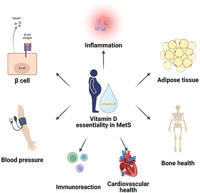 Confronting the global obesity epidemic: investigating the role and underlying mechanisms of vitamin D in metabolic syndrome management